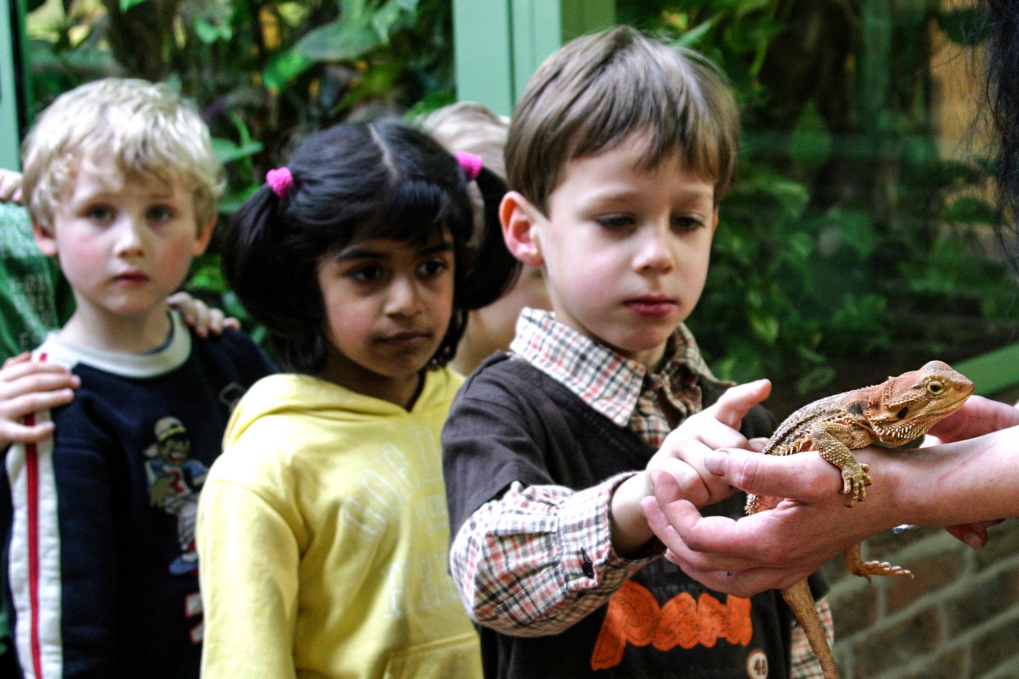 Sinneserfahrung am Terrarium mit Kindergartenkindern.