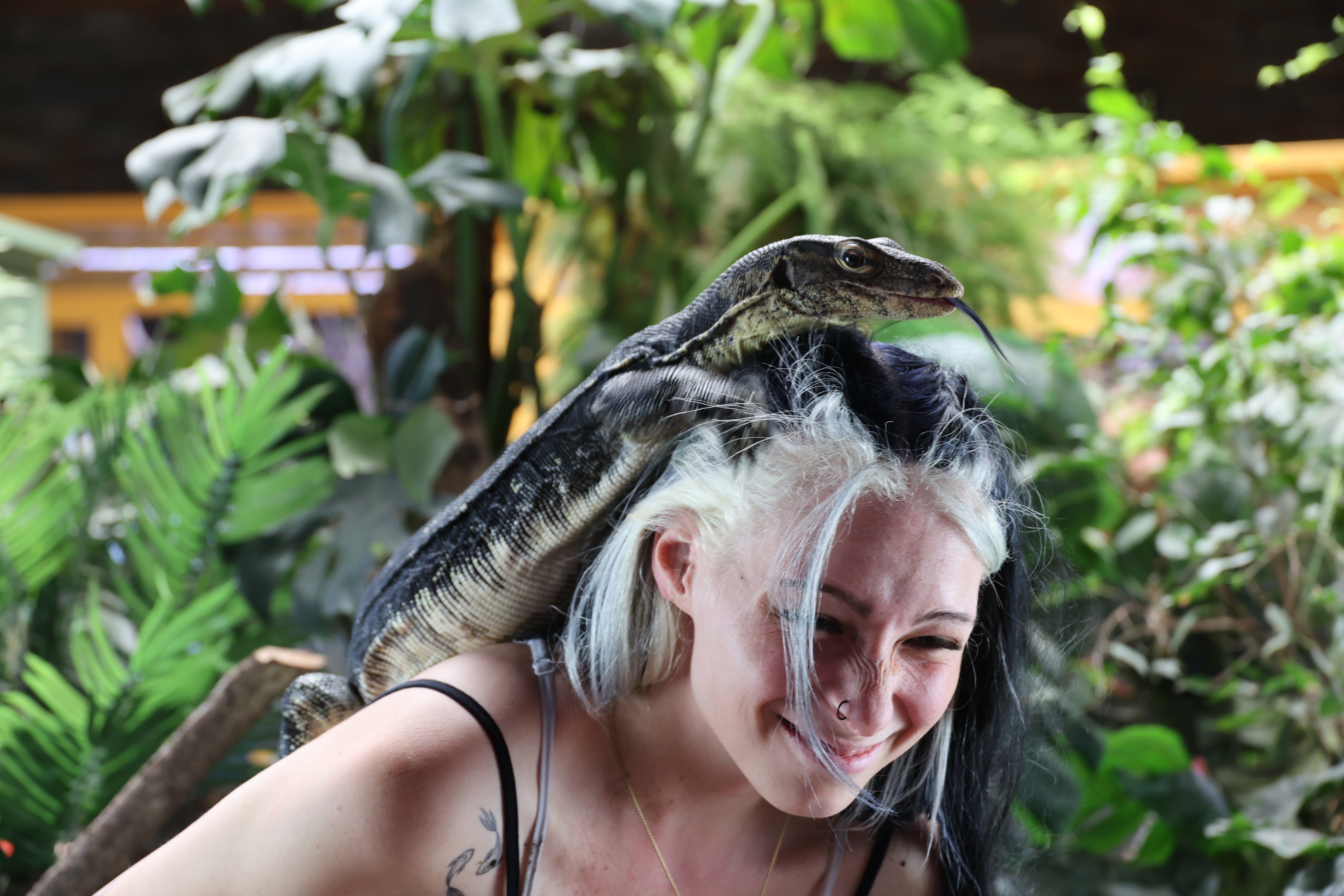 Fotoshooting mit Vogelspinne