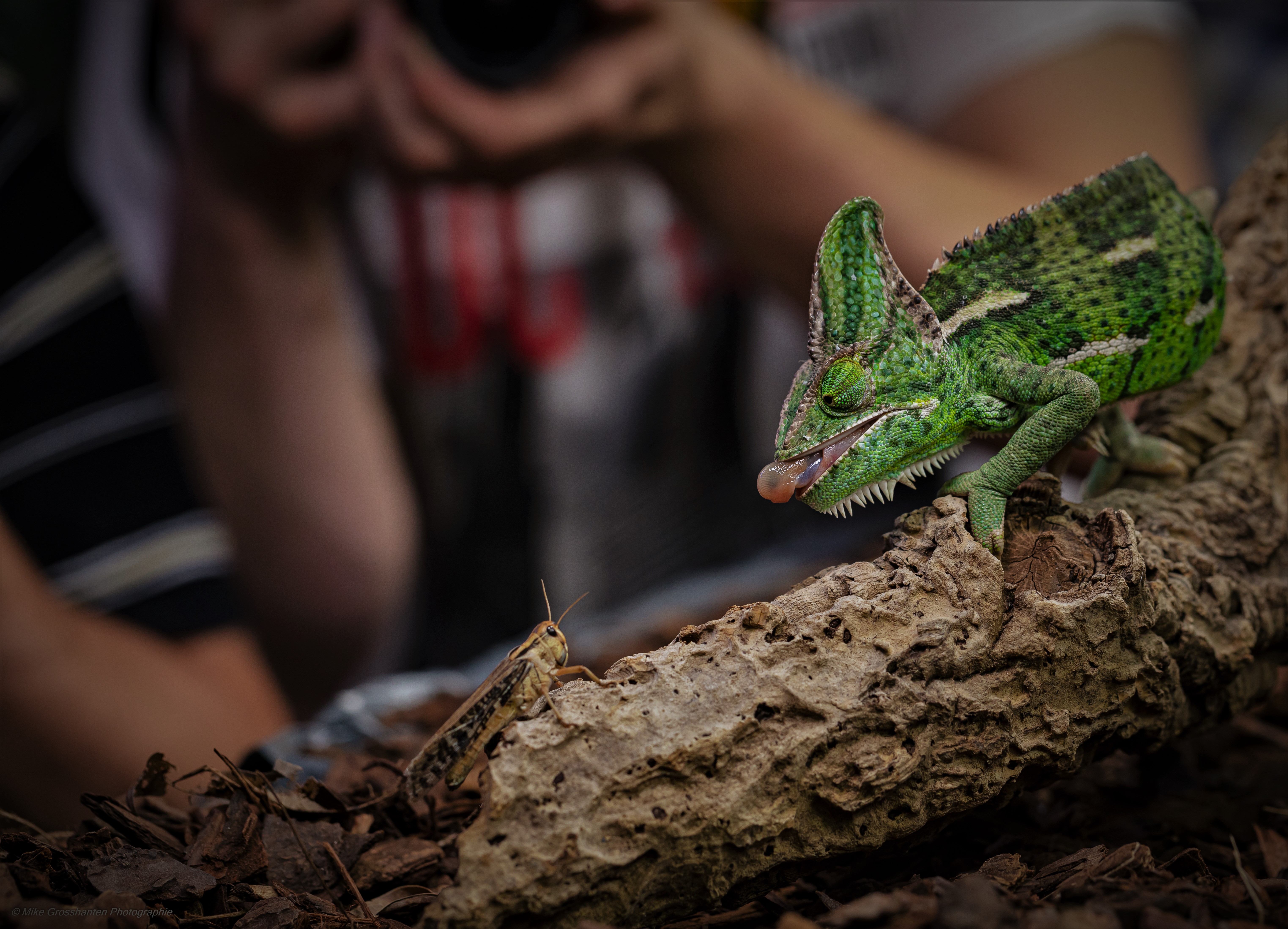 Fotoworkshop by Mike Grosshanten