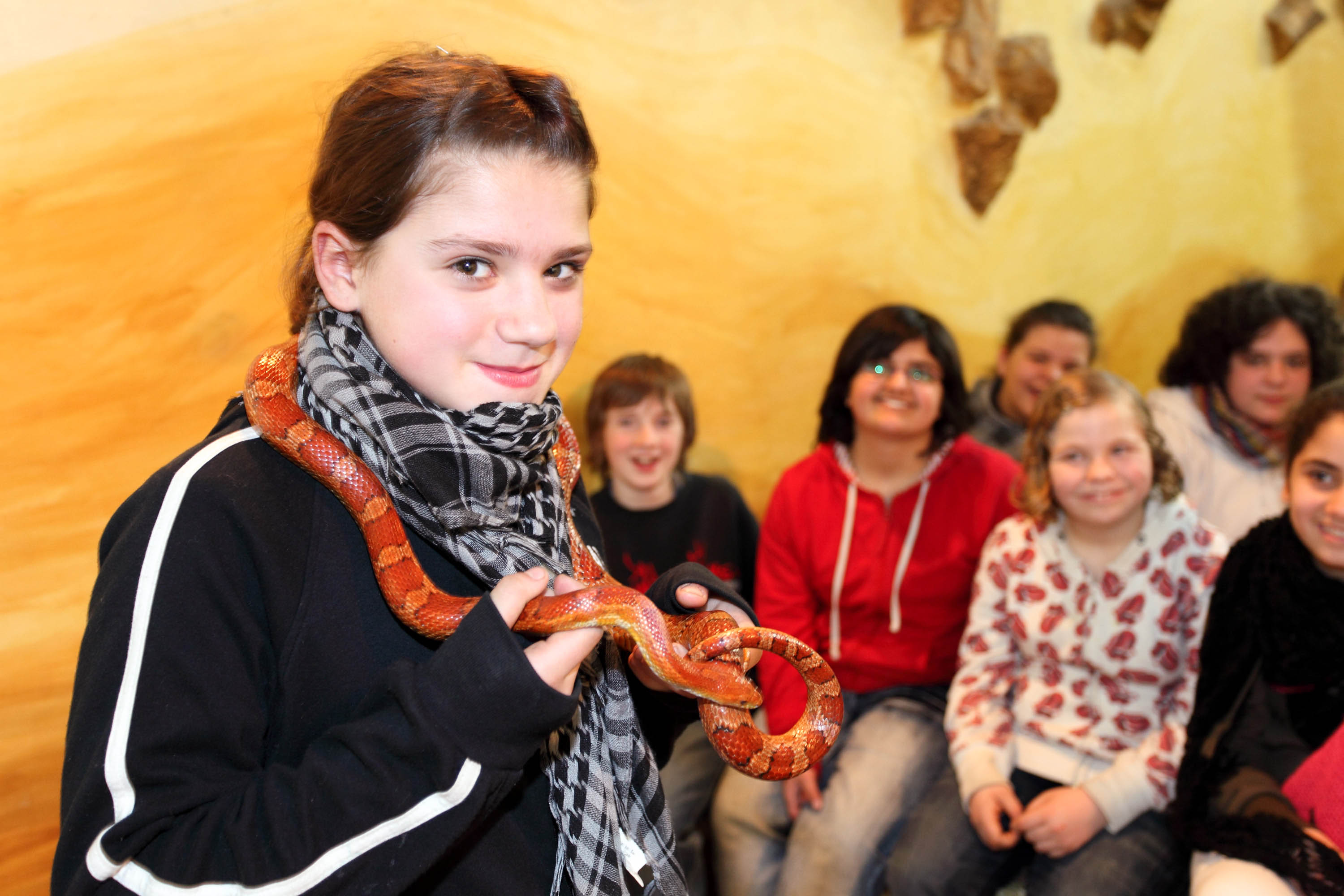 Patenabend im TerraZoo